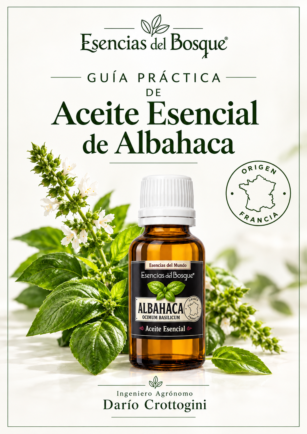 Portada Guía Práctica de Aceite Esencial de Albahaca - Esencias del Bosque