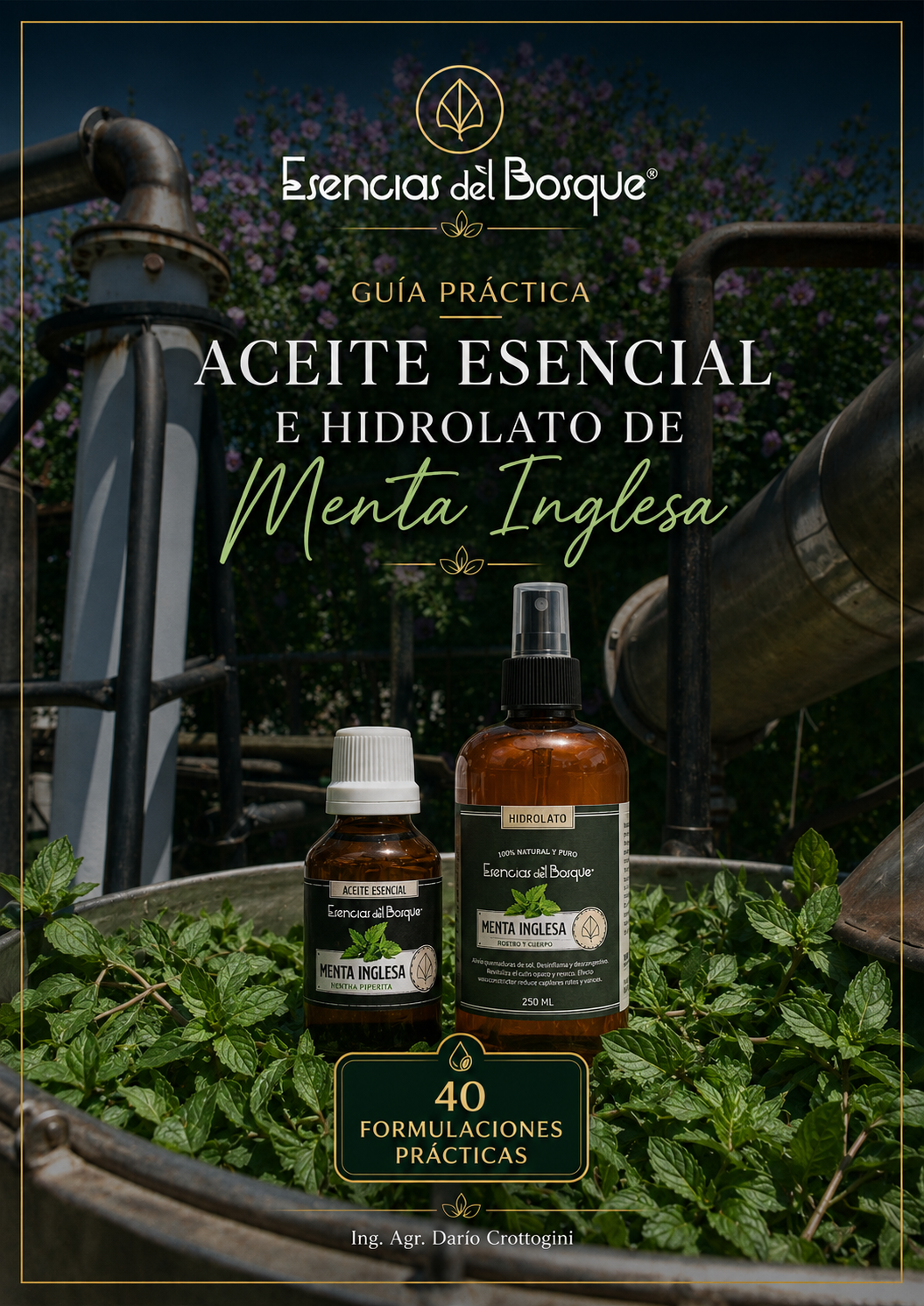 Guía práctica aceite esencial e hidrolato de menta inglesa Producto digital