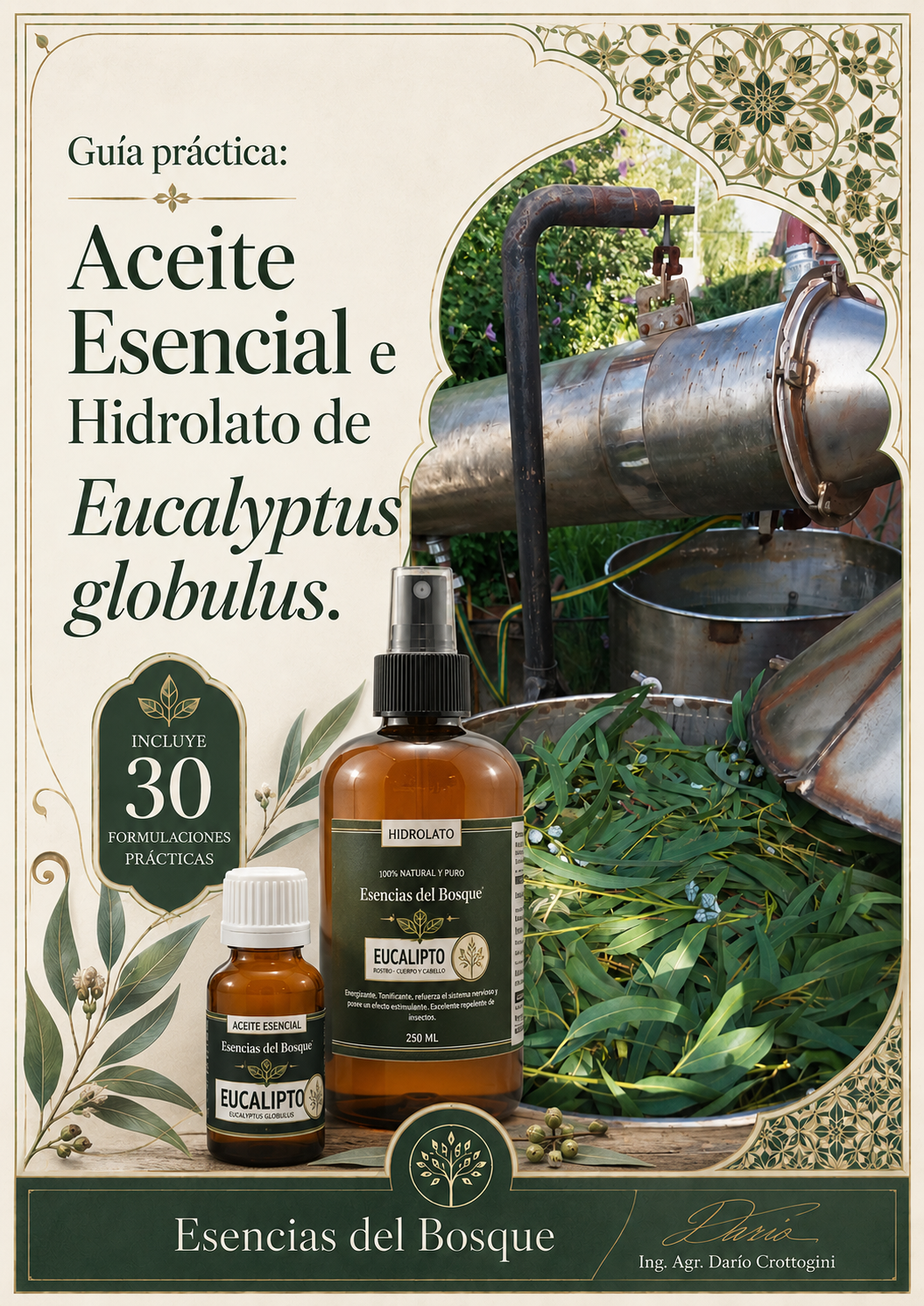 Guía práctica del aceite esencial e hidrolato de Eucalyptus globulus