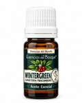 Aceite Esencial de Wintergreen