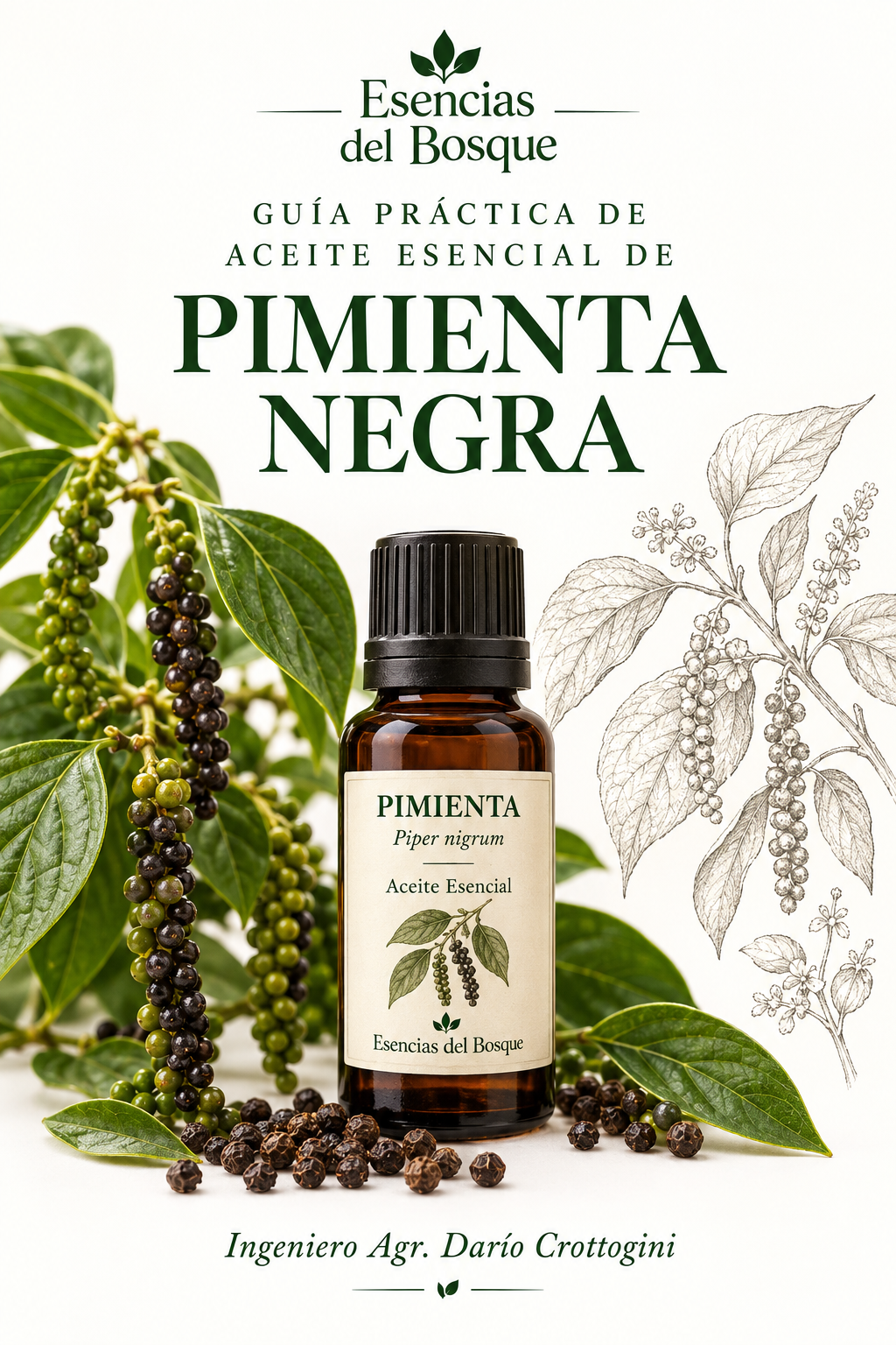 Guía Pimienta - Opción 2
