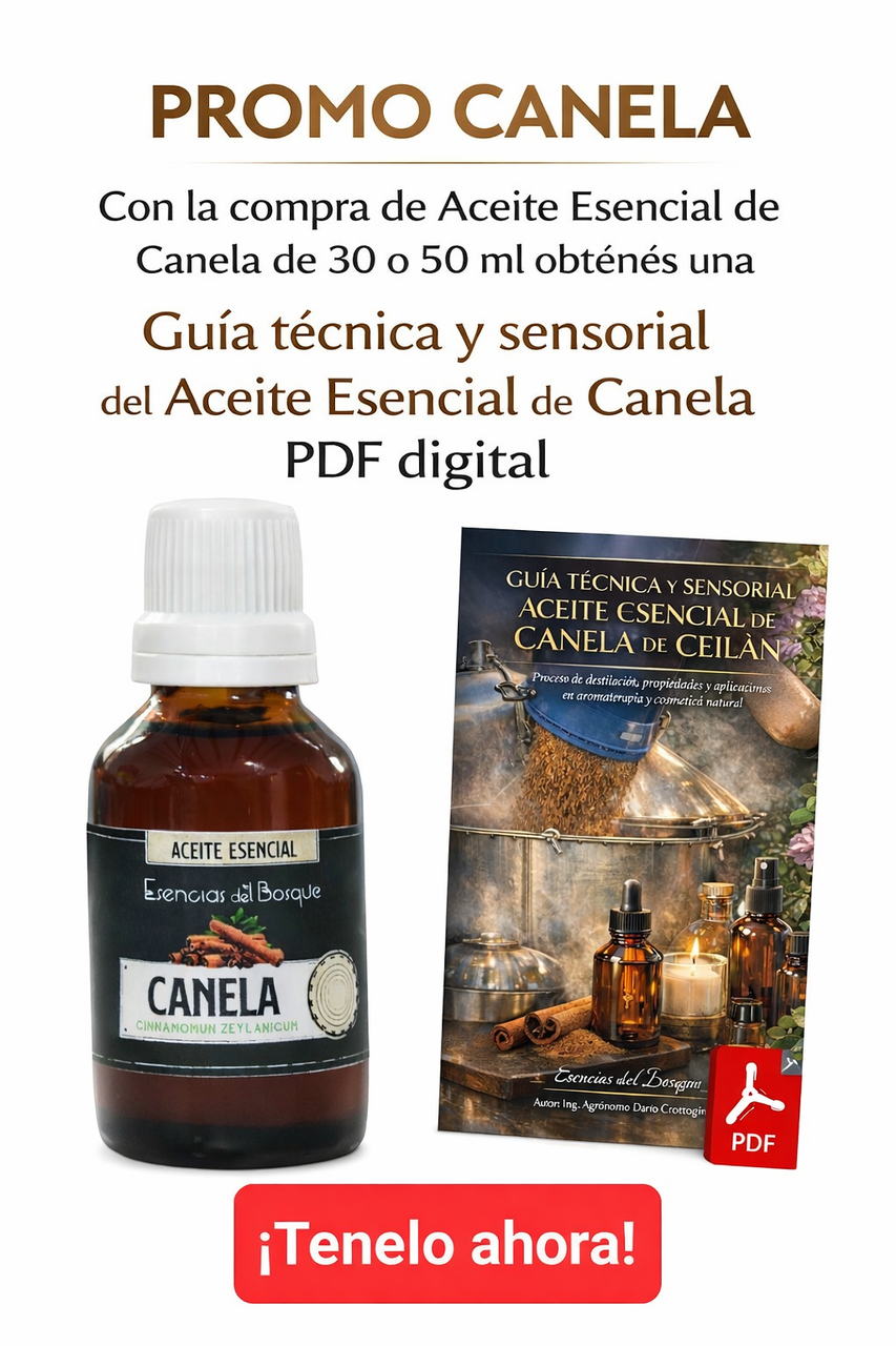 Promo Canela