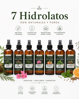 7 Hidrolatos 250 ml (Laurel, Cedro del líbano, Ciprés, Geranio, Naranja, Menta, Coriandro)